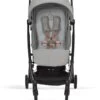 Cybex Buggy Libelle Lava Grey -Cybex Geschäft 58070 1 80970058 1