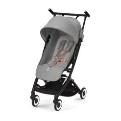CYBEX Libelle Buggy Lava Grey Gestell Black | Einfach Faltbar